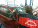 Autoskloservis